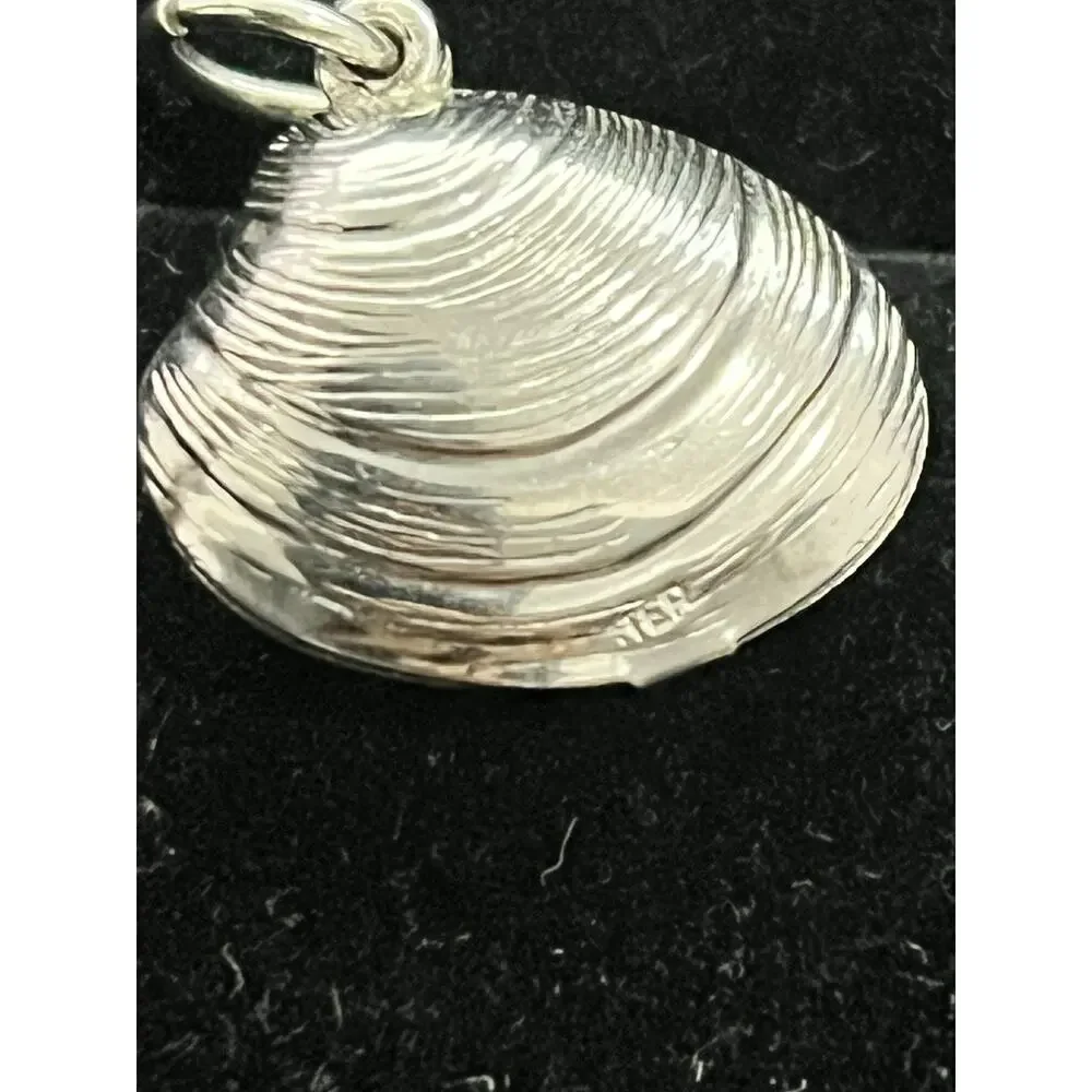 Unbranded featuring seashell